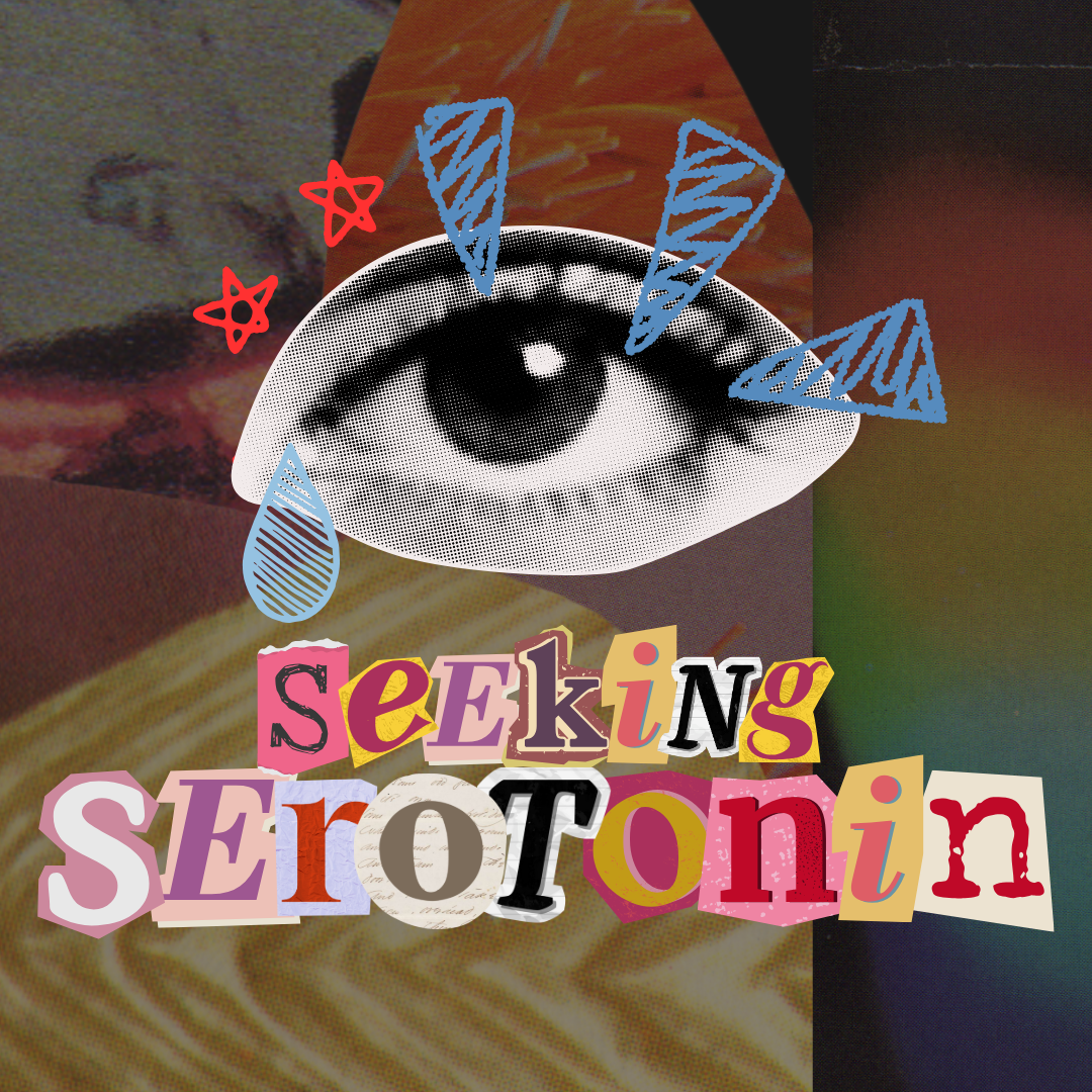 Seeking Serotonin Volume 6 – Sad Songs For Sensitive Souls
